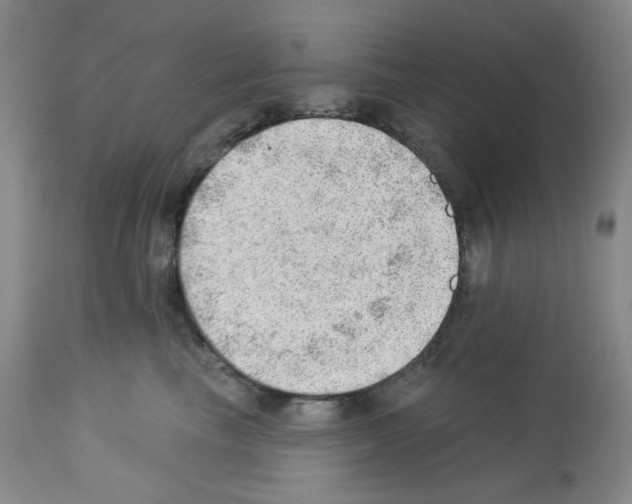 X0000112740665200910011222