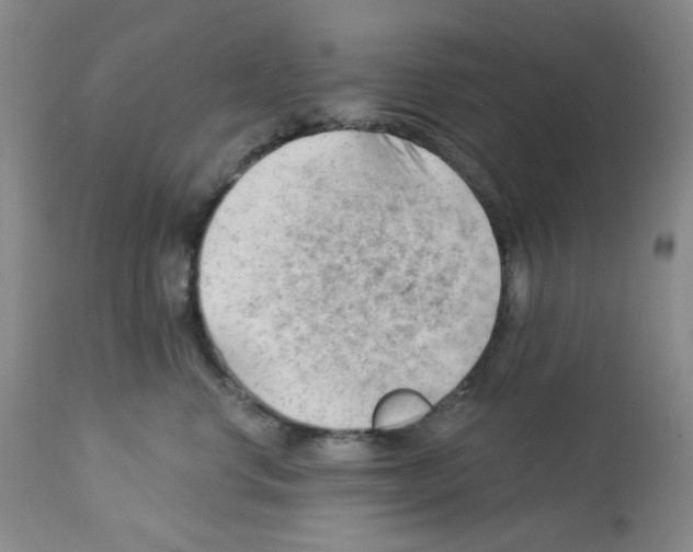 X0000112740668200910011222