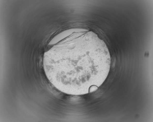 X0000112740669200910011222