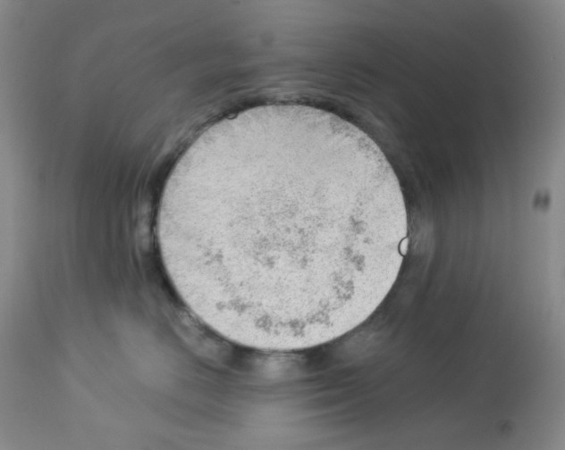 X0000112740670200910011222