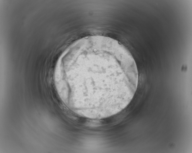 X0000112740671200910011222