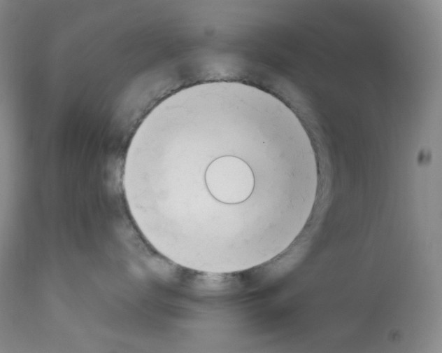 X0000112740672200910011222