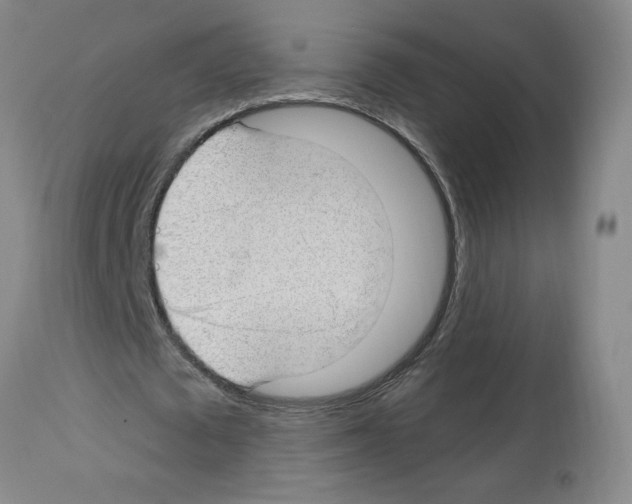 X0000112740673200910011221