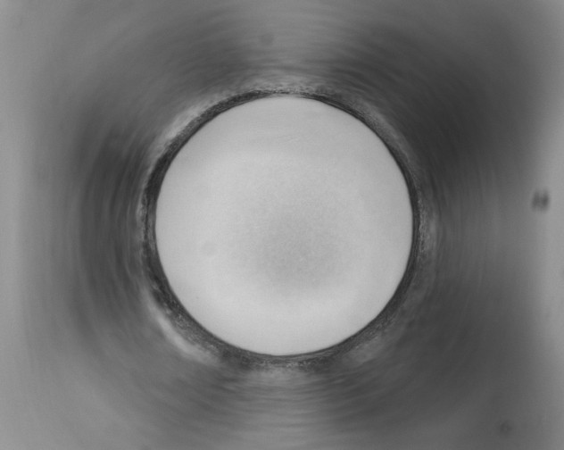 X0000112740674200910011221