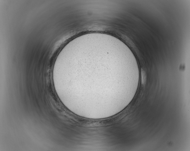 X0000112740675200910011221