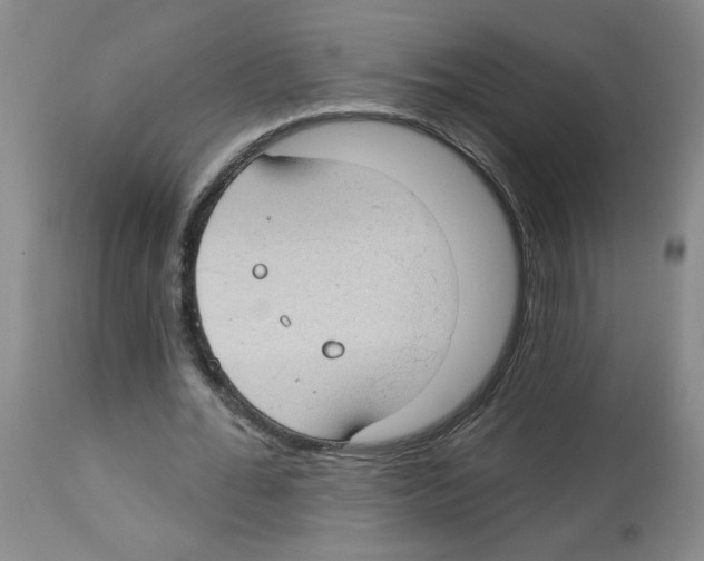 X0000112740676200910011221