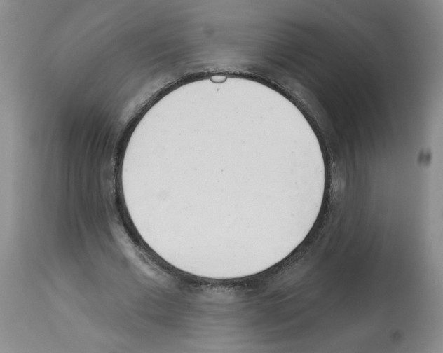 X0000112740677200910011221