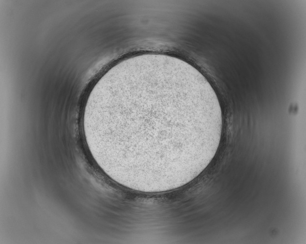 X0000112740679200910011221