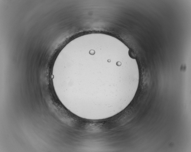 X0000112740680200910011221