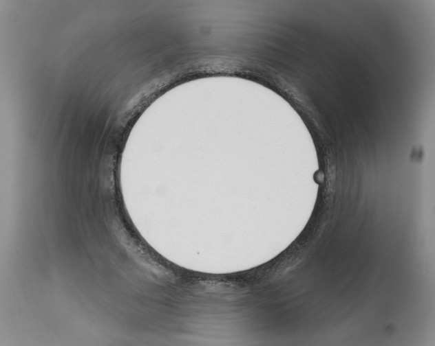 X0000112740681200910011221