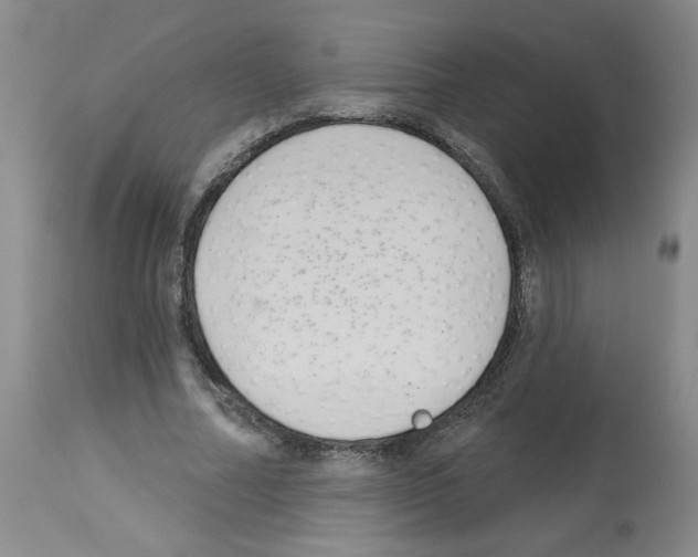 X0000112740682200910011221