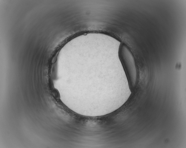 X0000112740684200910011221