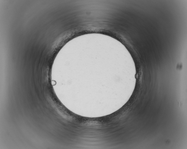 X0000112740685200910011221