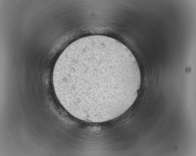 X0000112740687200910011221