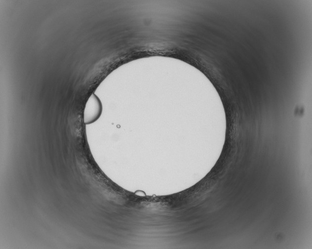 X0000112740689200910011221