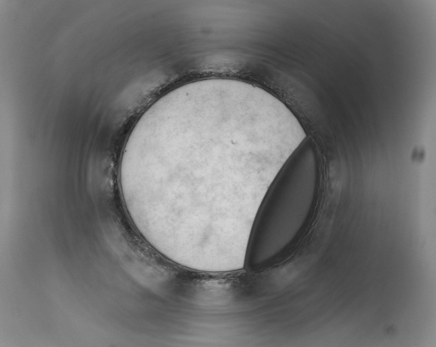 X0000112740692200910011221