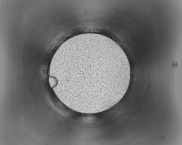 X0000112740695200910011221