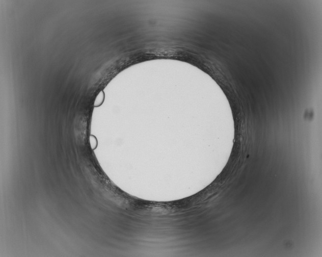 X0000112740697200910011221