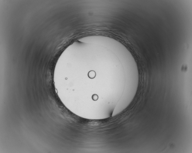 X0000112740704200910011221