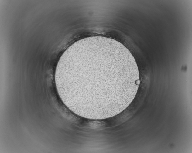 X0000112740707200910011221