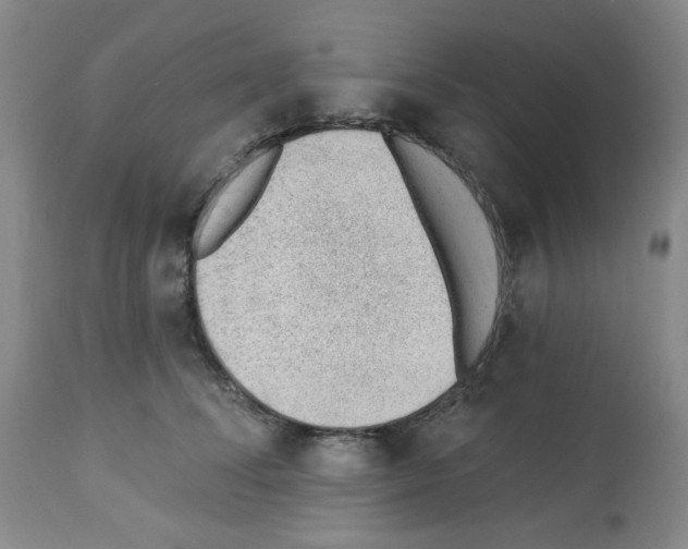 X0000112740708200910011221