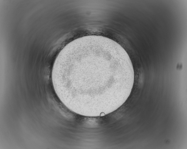 X0000112740710200910011220