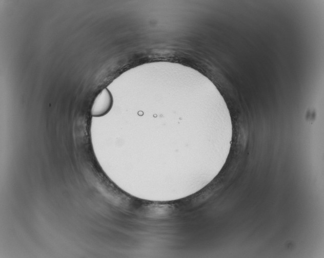 X0000112740711200910011220