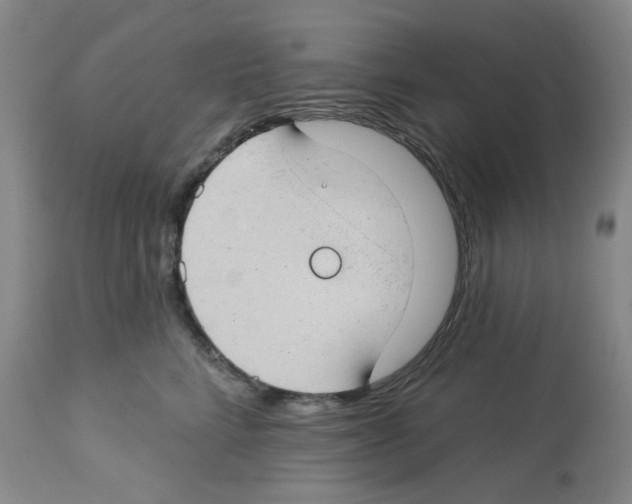 X0000112740712200910011220