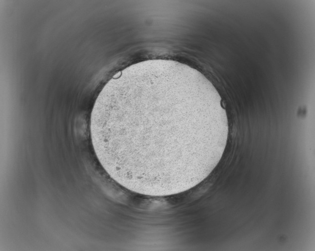 X0000112740715200910011220