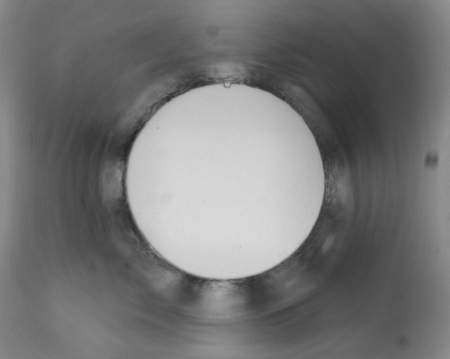 X0000112740717200910011220