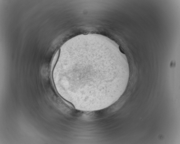 X0000112740720200910011220