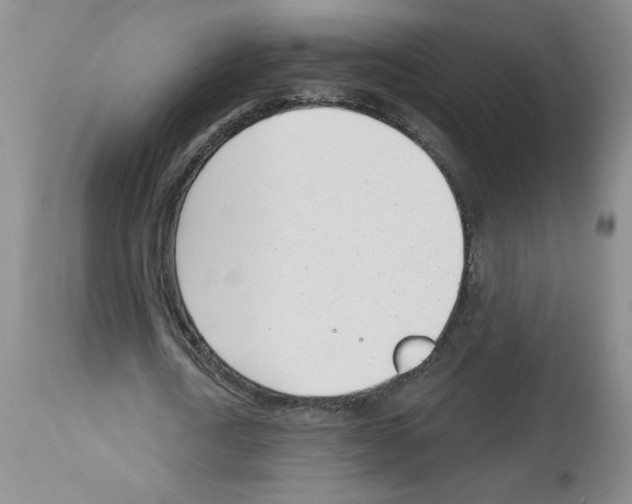 X0000112740722200910011220