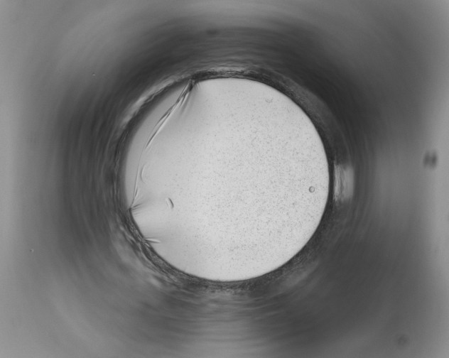 X0000112740723200910011220