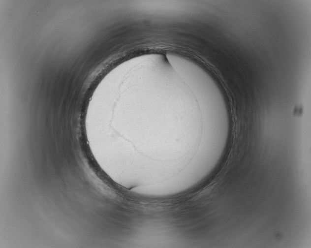 X0000112740725200910011220