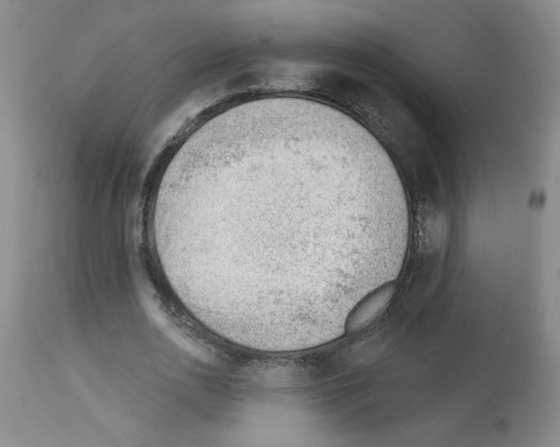 X0000112740726200910011220