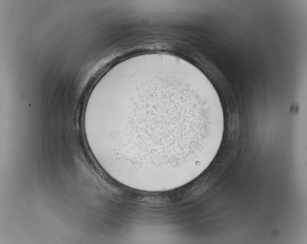 X0000112740727200910011220