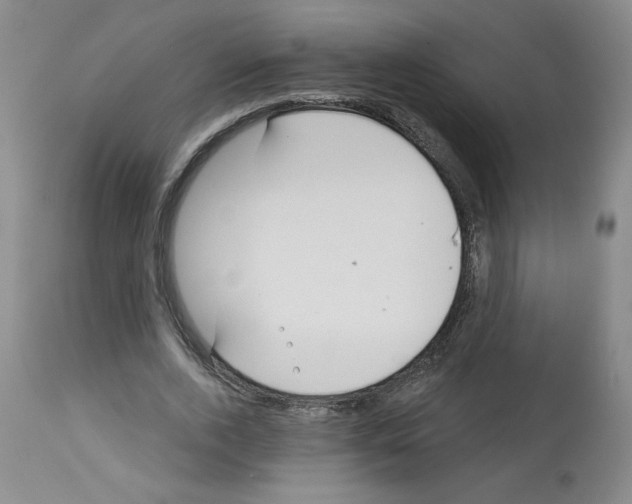 X0000112740728200910011220