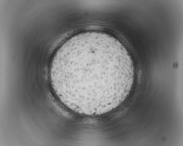 X0000112740729200910011220