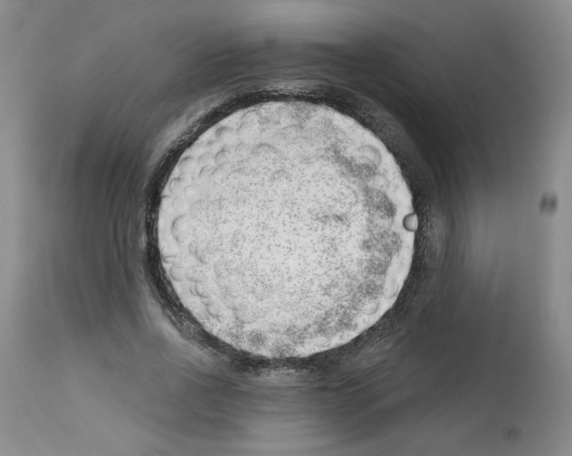 X0000112740734200910011220