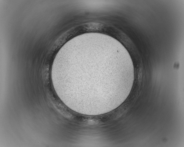 X0000112740737200910011220