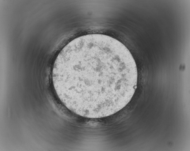 X0000112740742200910011220