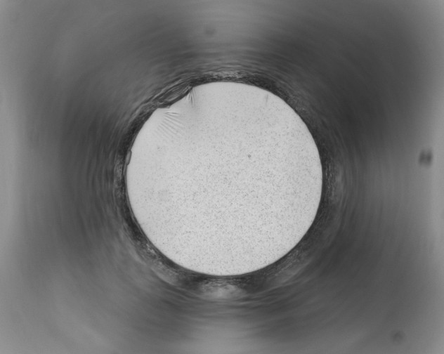 X0000112740747200910011220