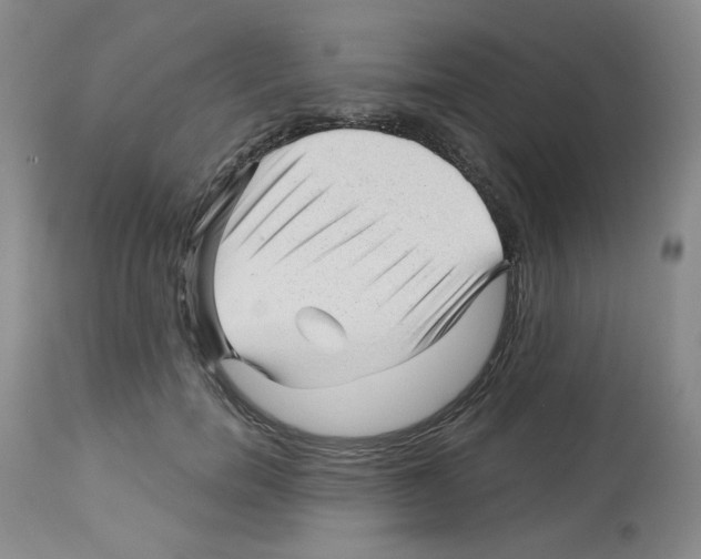 X0000112740750200910011220