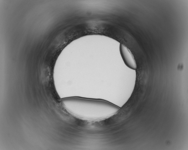 X0000112740752200910011220