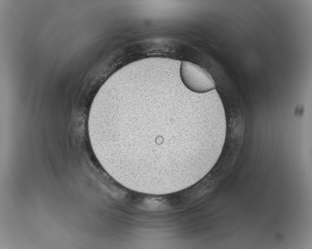 X0000112740753200910011220