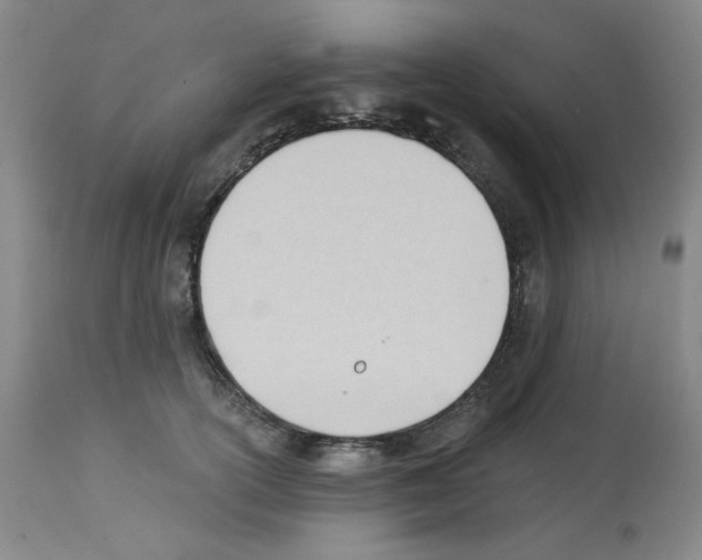 X0000112740754200910011220