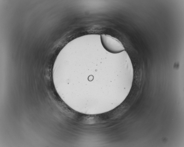 X0000112740755200910011220