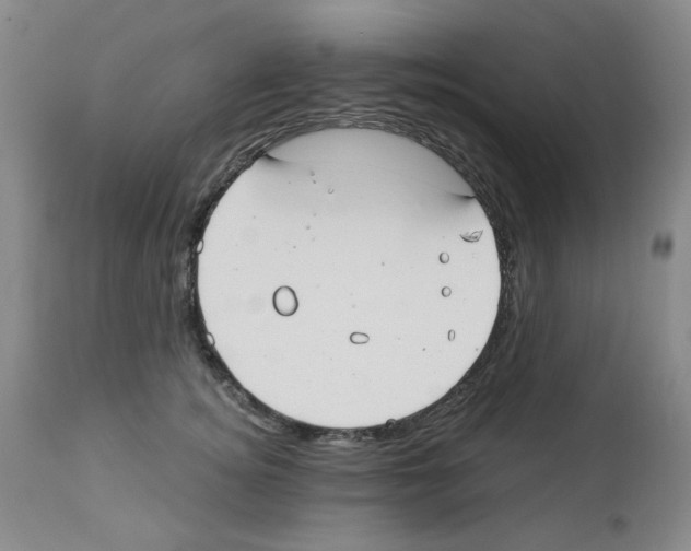 X0000112740756200910011220