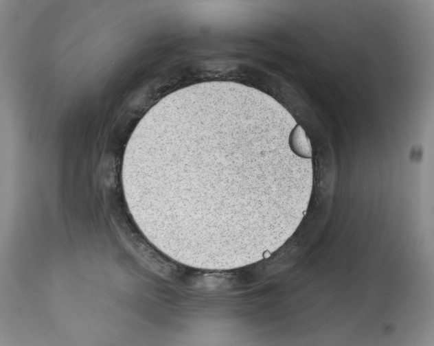 X0000112740758200910011220