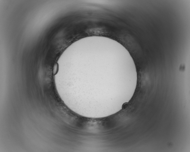 X0000112740760200910011220